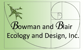 bowman and blair, ecology and design