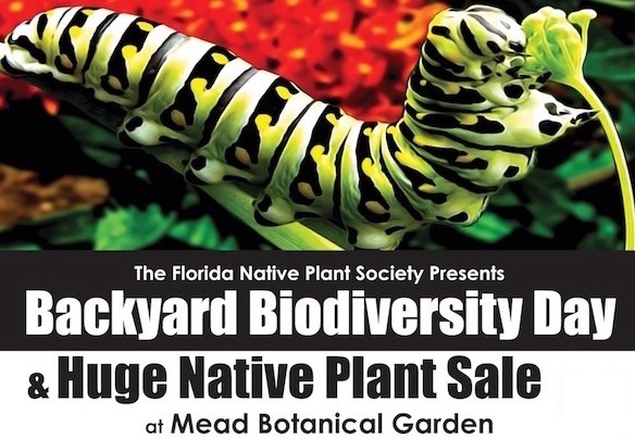 backyard Biodiversity Poster