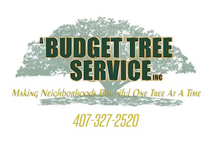 A Budget Tree Service logo