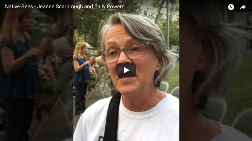 Read more about the article Native Bees – Jeanne Scarbrough and Sally Powers