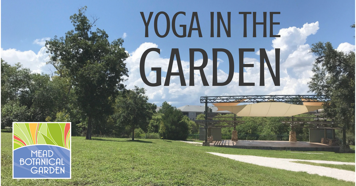 yoga in the garden banner