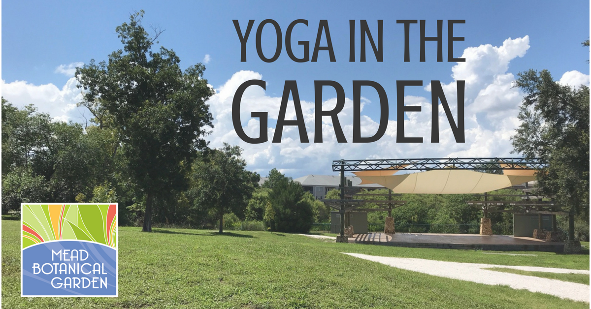 Yoga in the Garden