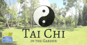 tai chi in the garden