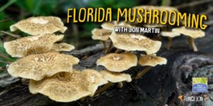 Florida Mushrooming with Jon Martin