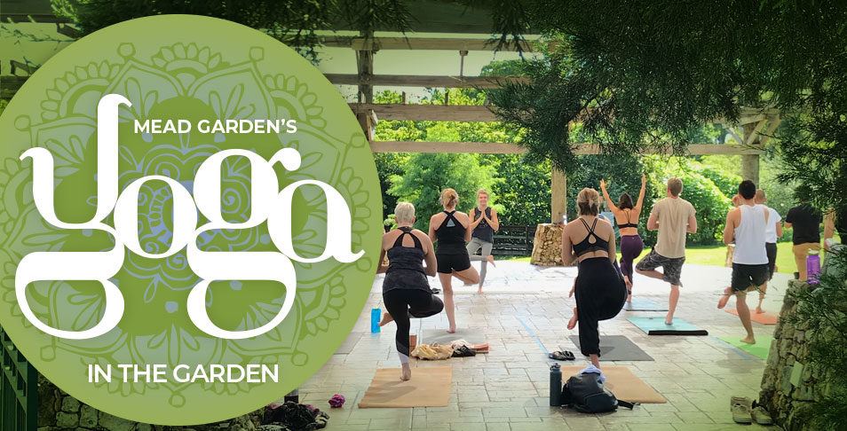 yoga in the garden