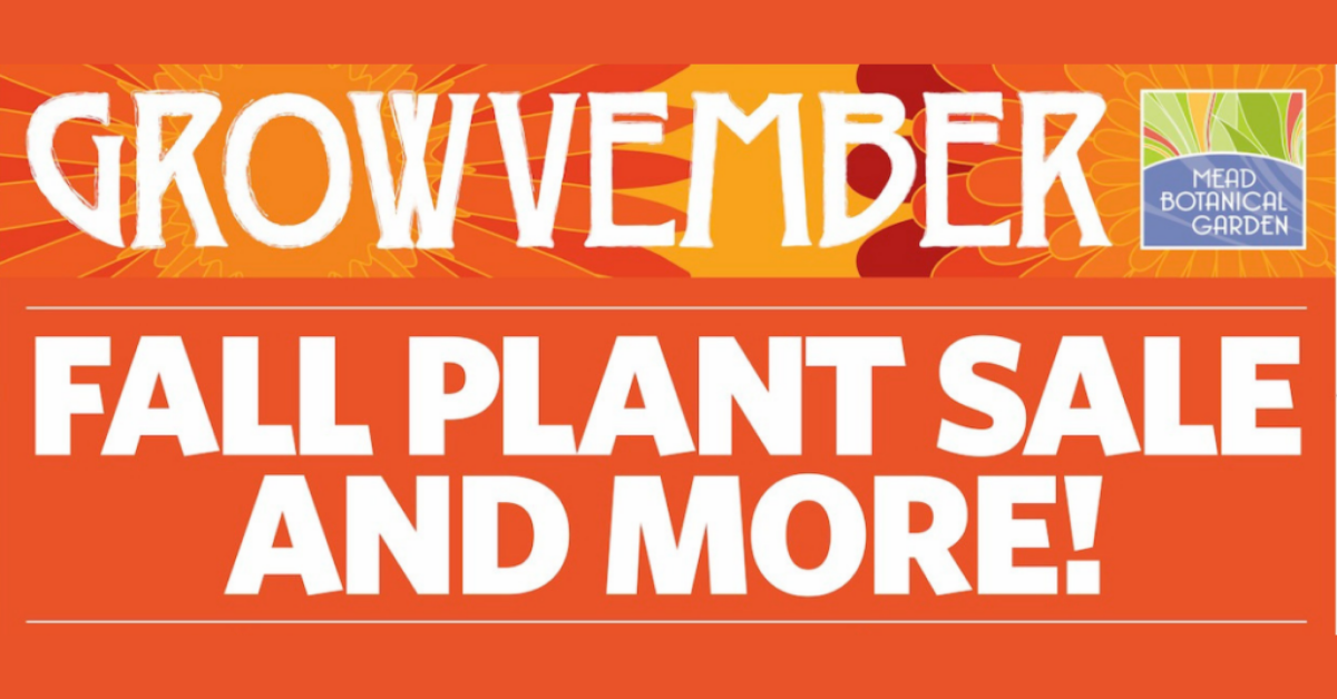 growvember fall plant