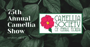 75th annual camellia show