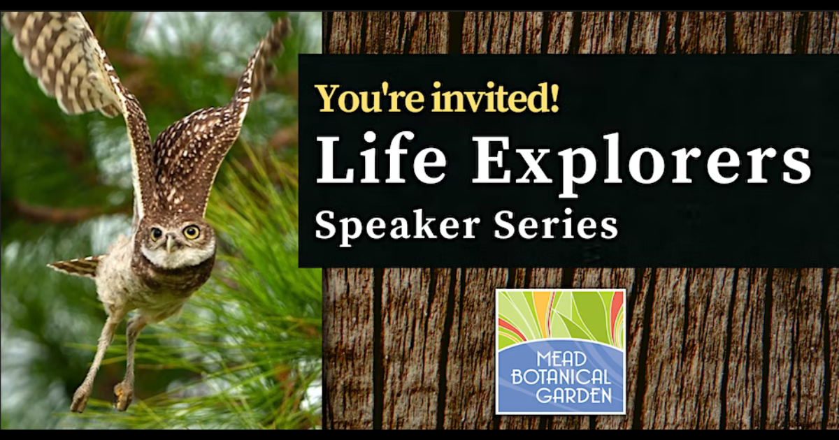 Read more about the article Life Explorers Speaker Series