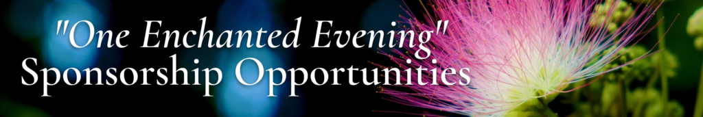 one enchanted evening sponsorship opportunities