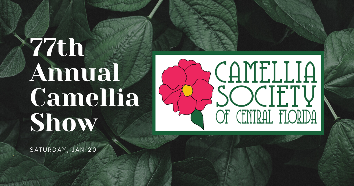 77th annual camellia show
