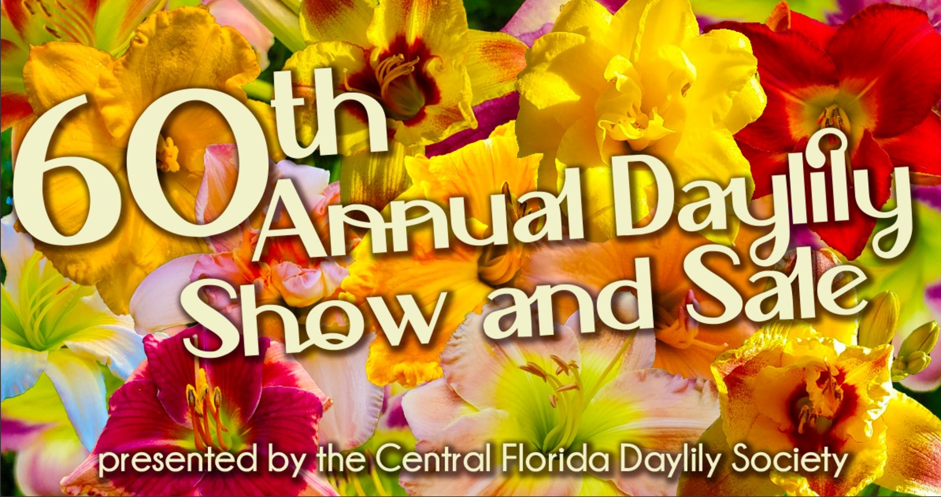 60th annual daylily show